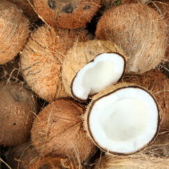 Cocus Nucifera - ekstra jomfru kokosolie