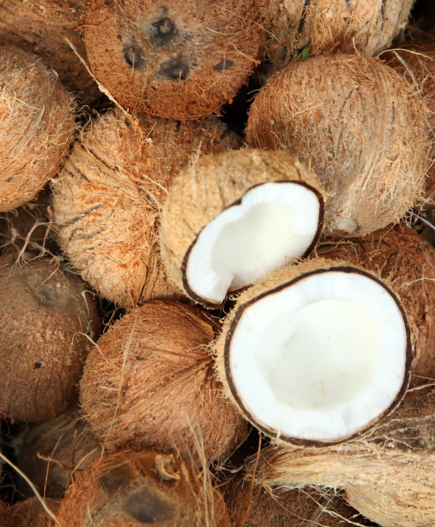 Cocus Nucifera - ekstra jomfru kokosolie